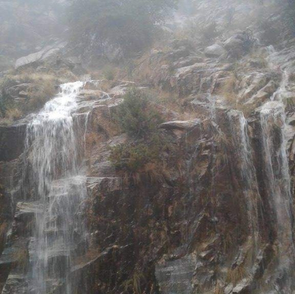 Meet your Posher, Jerri - Picture 3 of 4